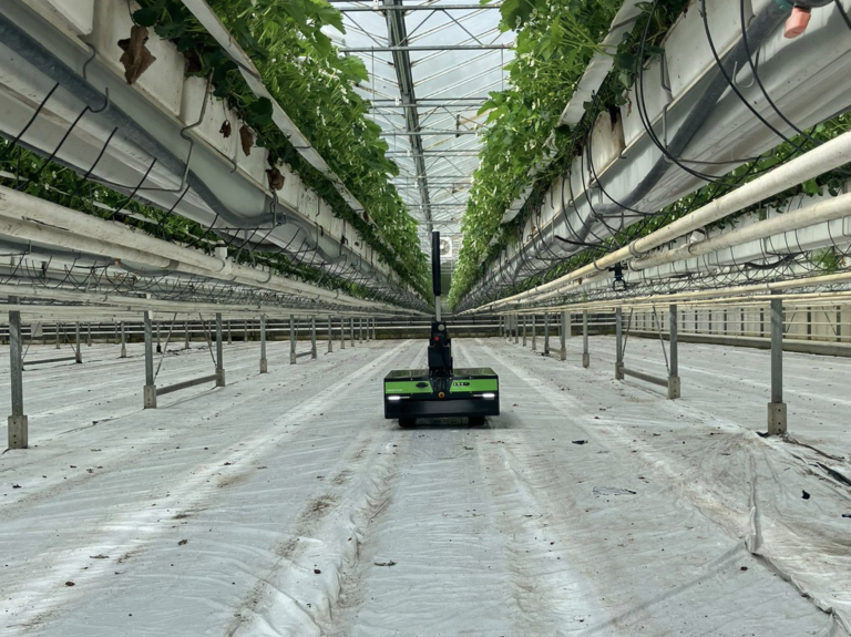 Read more about the article UV-C robot for greenhouses without rails available