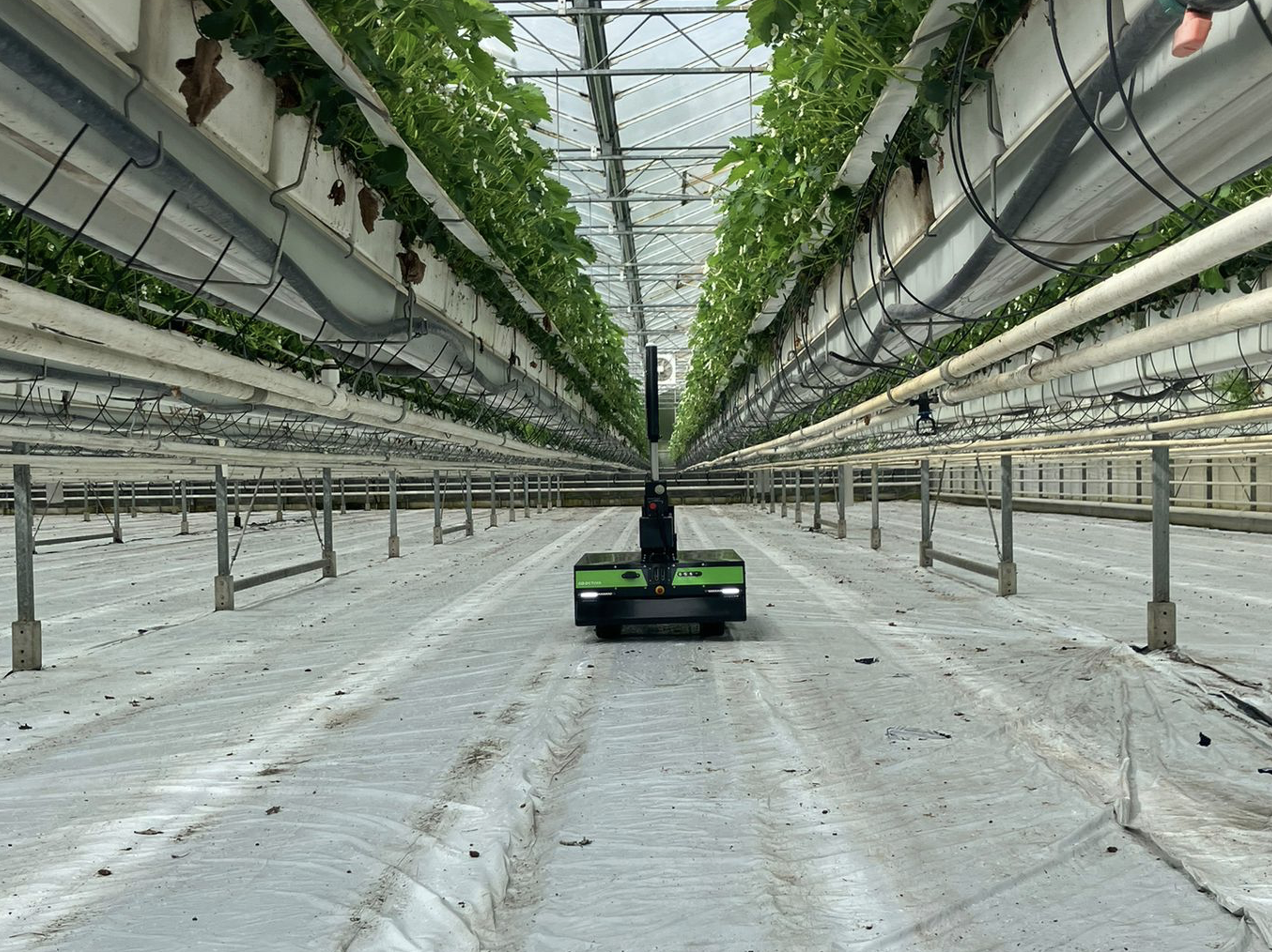 You are currently viewing UV-C robot for greenhouses without rails available