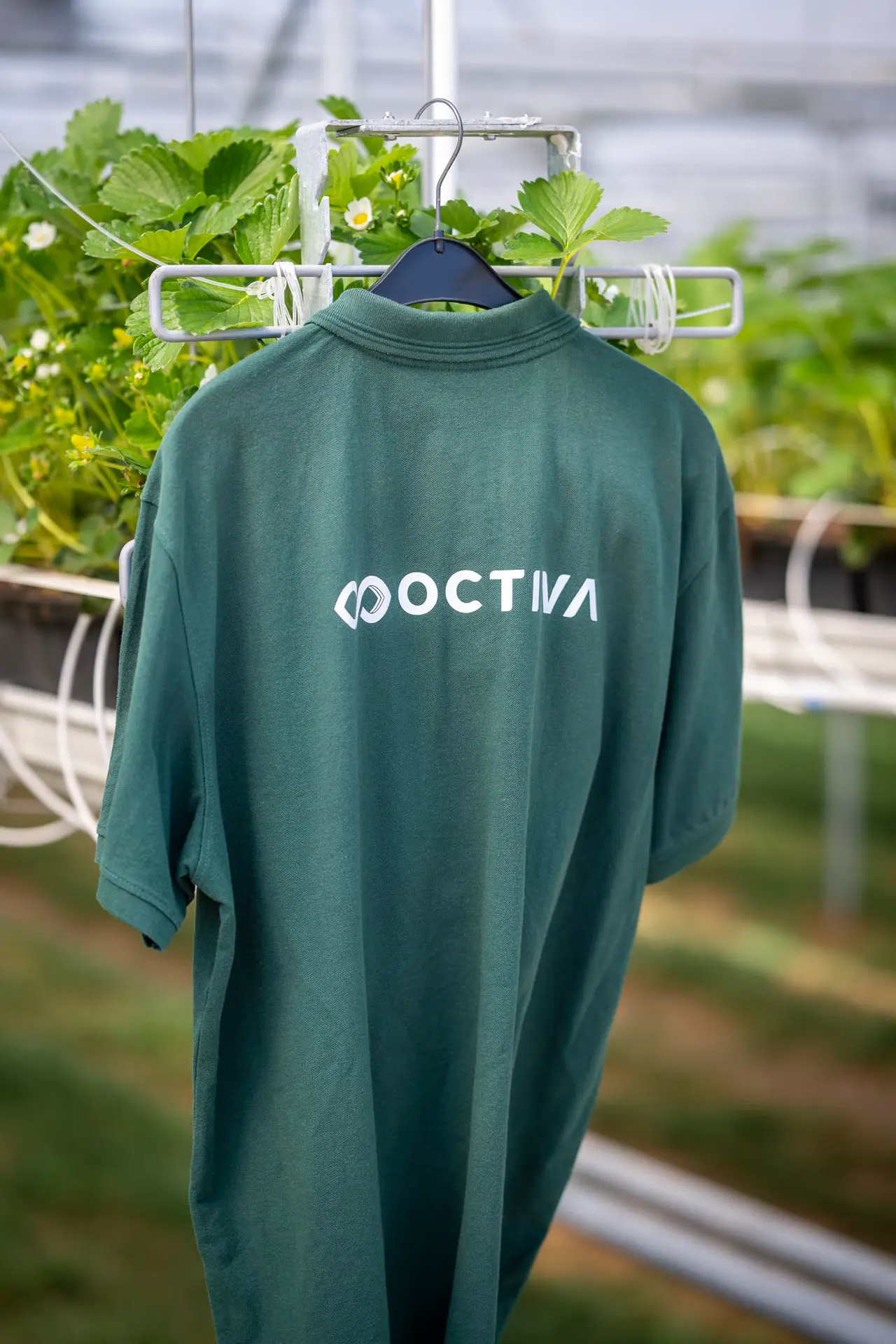 Jobs at Octiva